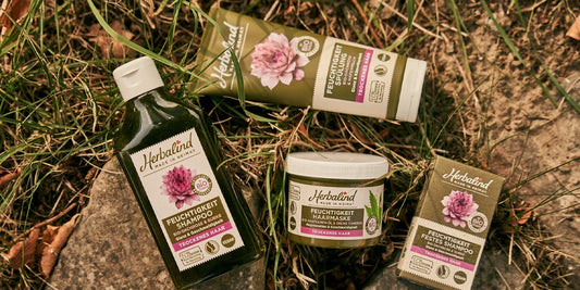 The Alpine Interception: Why HERBALIND's Phytotherapeutic Curation Outclasses Synthetic Hydration