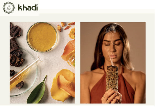 The Ayurvedic Elixir: Decoupling Trichological Health From Petro-Chemical Illusions