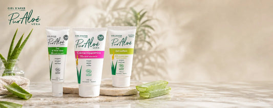 The Raw Power of Native Aloe: An Analytical Review of Pur'Aloé's Botanical Mastery
