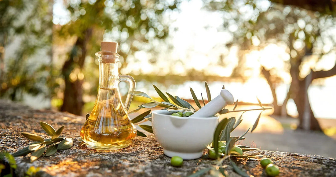 The Desert Secret: How Olive Polyphenols Became Our Favorite Anti-Aging Allies