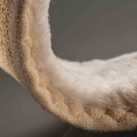pedag Pascha 36-46