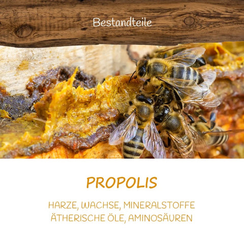 Propolis-Kräuterhexe
