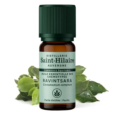 Saint-Hilaire Ravintsara