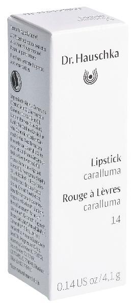 DR. HAUSCHKA Lipstick 14 caralluma 4.1 g