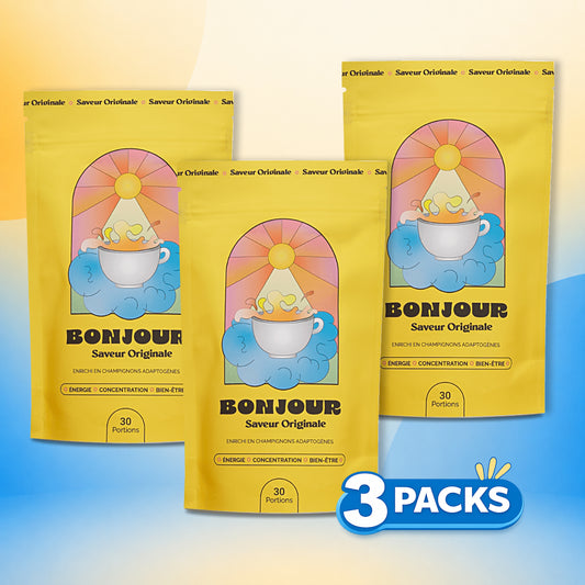 Hallo Original Trio Pack – Funktionelles Pilzgetränk (90 Portionen)