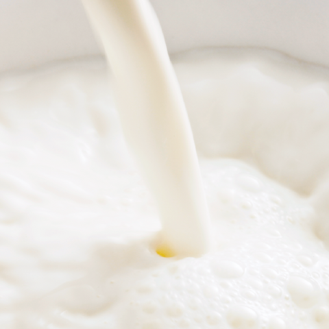 Savon au lait de chèvre Alpes