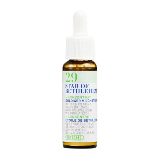 PHYTOMED Bachblüten No29 Dold Milchstern Fl 10 ml