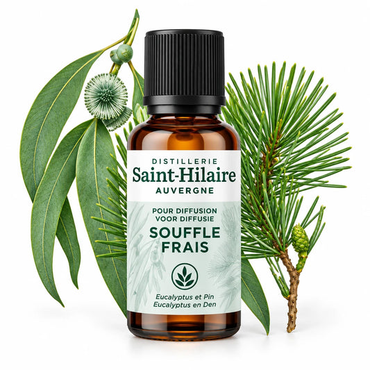 Saint-Hilaire Air Frais