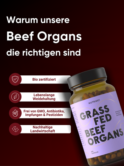 Organes de bœuf bio nourri à l'herbe séchés en capsules
