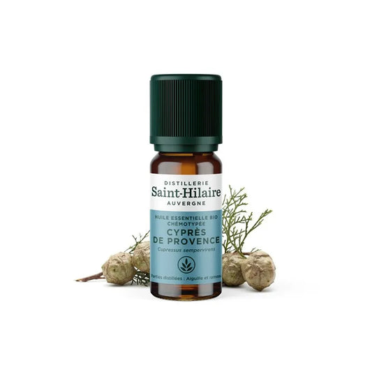 Saint Hilaire Cypress