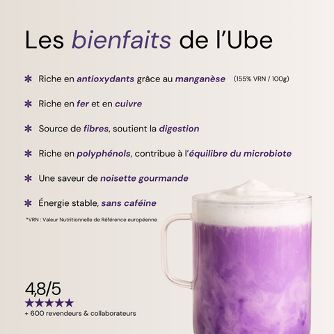 Poudre d'Ube Premium des Philippines