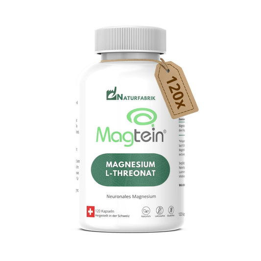 NATURFABRIK Magnesium-L-Threonat Magtein® Kaps 120 Stk