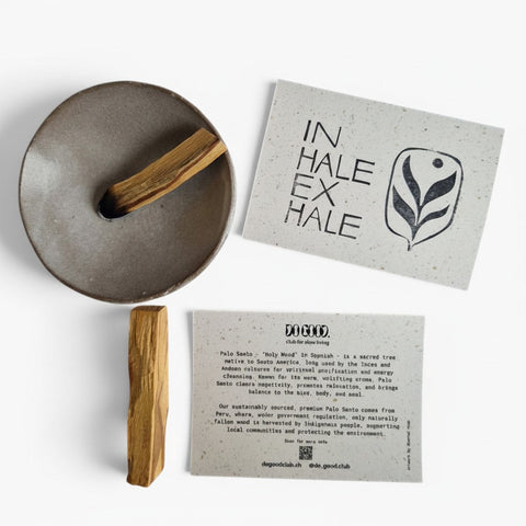Bois de Palo Santo encens 10 pièces