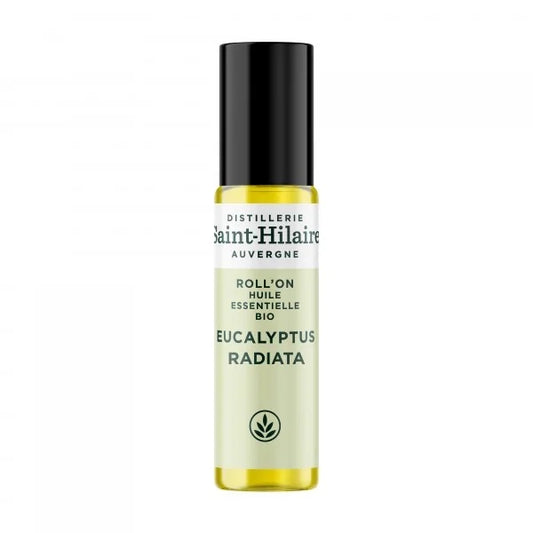 Saint-Hilaire Eucalyptus radiata