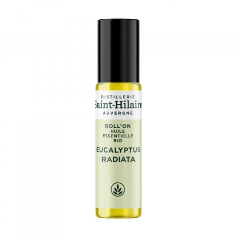 Saint-Hilaire Eucalyptus radiata