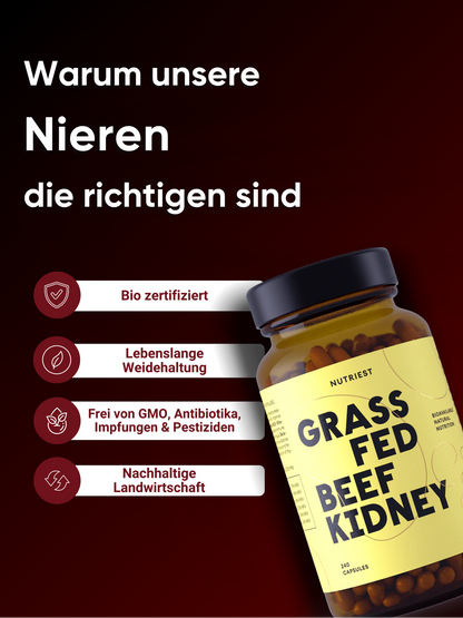 Getrocknete Bio Weiderind Nieren in Kapseln