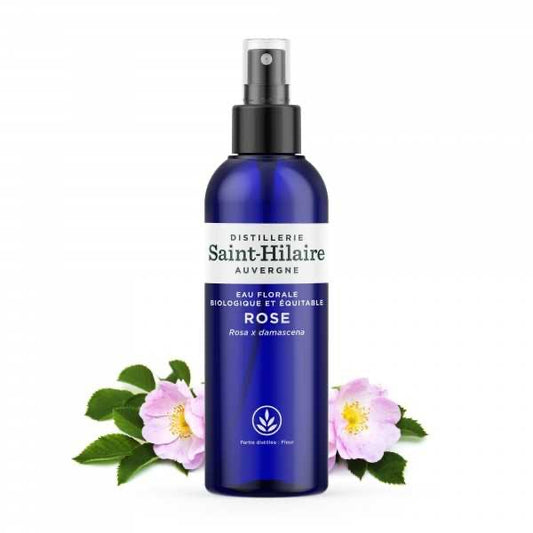 Rose Damascène Saint-Hilaire