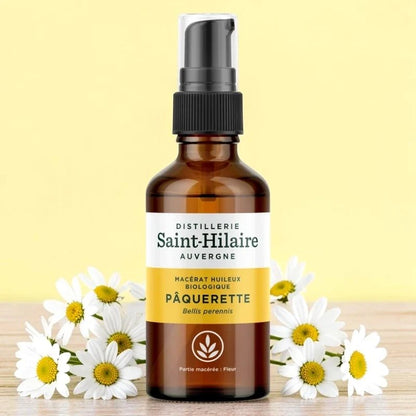 Saint-Hilaire Daisy (MH)