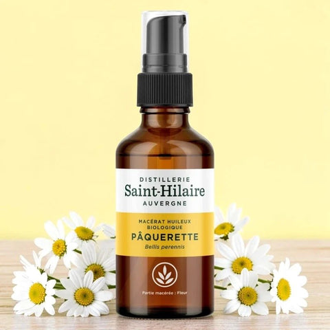 Saint-Hilaire Daisy (MH)