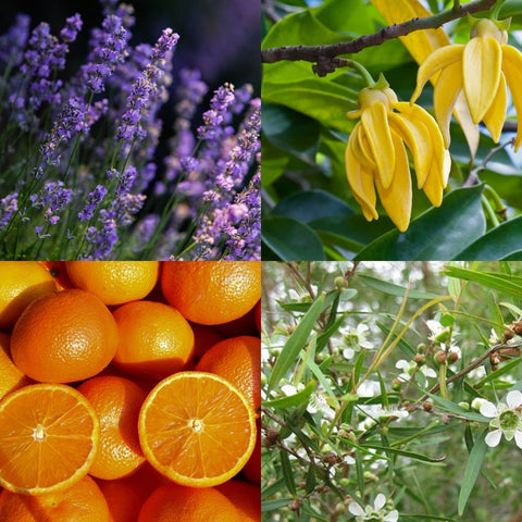 Galets de douche CHILL TIME- 8 pcs