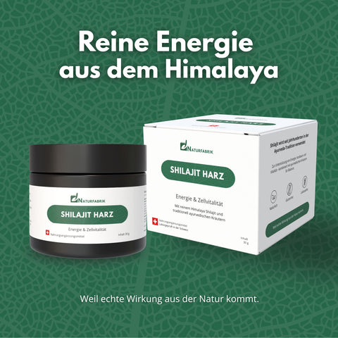 NATURFABRIK Shilajit Harz 30 g