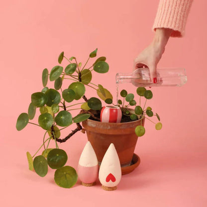 Mini Olla Trio système d’auto-arrosage