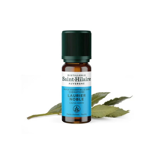Noble Laurel
