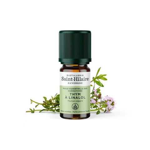 Saint-Hilaire Linalool thyme