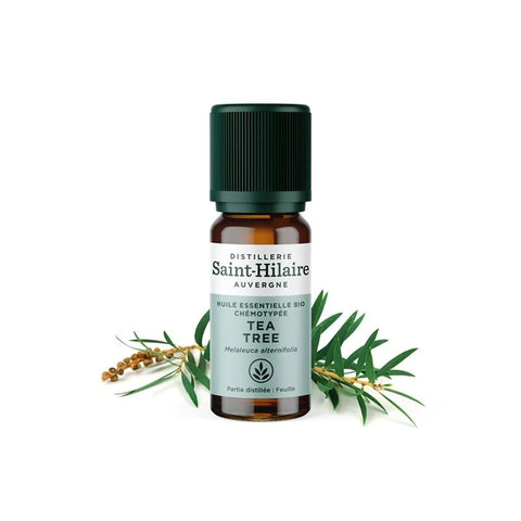 Saint-Hilaire Tea tree
