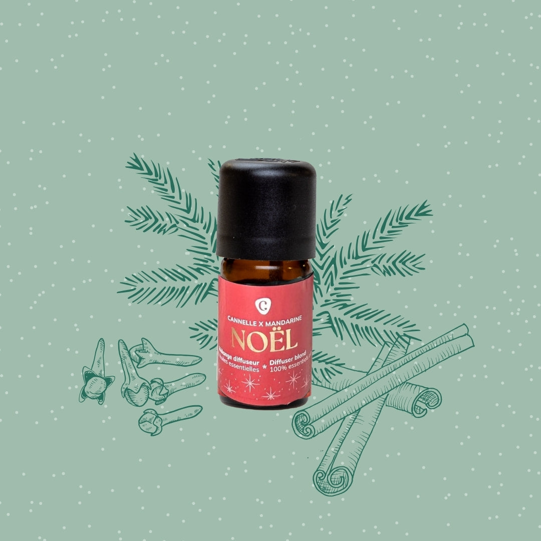 Mélange pour diffuseur NOEL