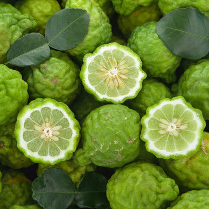 Mélanges d'huiles essentielles FOCUS