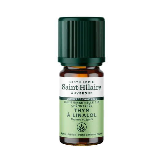 Thym linalol Saint-Hilaire