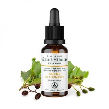 Saint-Hilaire Glutinous Alder