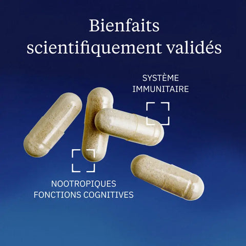 DYNVEO Vitamin B9 - 60 Capsules