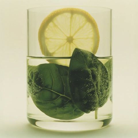 Flacon Liquide Vaisselle Basilic Citron 290mL