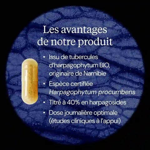 DYNVEO Harpagophytum BIO – 60 Capsules