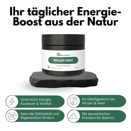 NATURFABRIK Resina di Shilajit 30 g