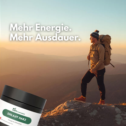 NATURFABRIK Resina di Shilajit 30 g