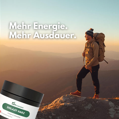 NATURFABRIK Resina di Shilajit 30 g