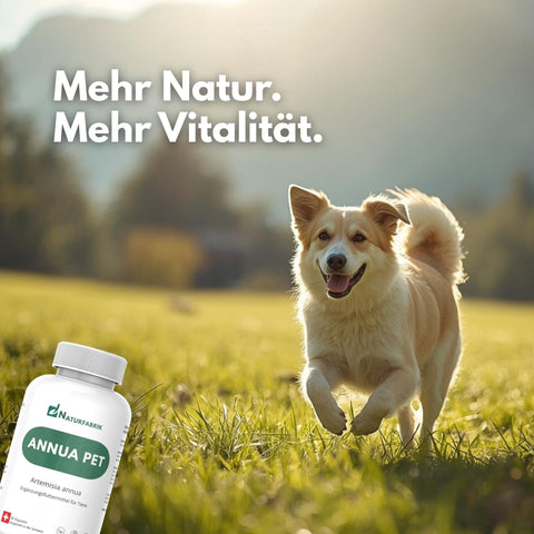 NATURFABRIK Annua Pet 90 Capsules