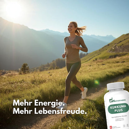 NATURFABRIK Kurkuma Plus Kapseln 100 Stk