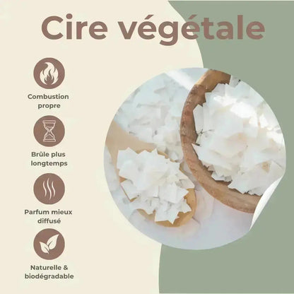 Evasion florale – Fleur des Îles & Améthyste