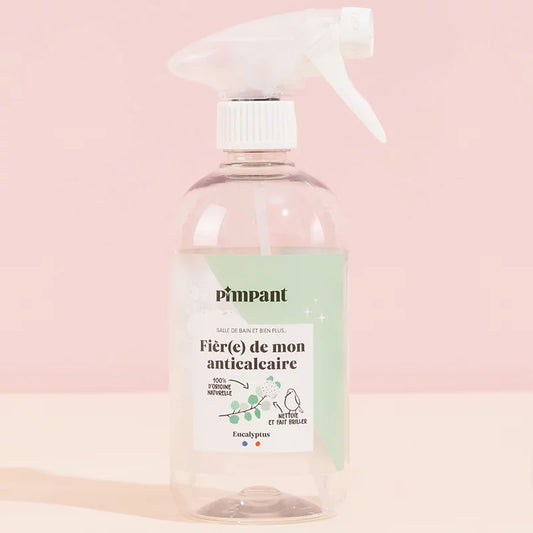 Anti-Kalk-Sprayflasche (Leer) - 500ml - Pimpant