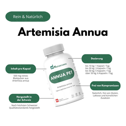 NATURFABRIK Annua Pet 90 Kapseln