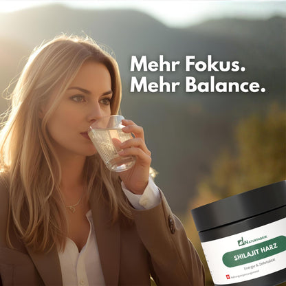 NATURFABRIK Resina di Shilajit 30 g