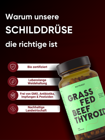 Getrocknete Bio Weiderind Schilddrüse in Kapseln