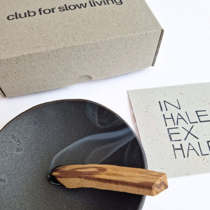 Palo Santo bois d’encens 20 pièces