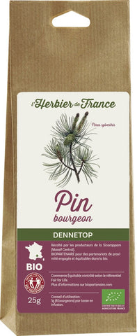 Bourgeons de pin