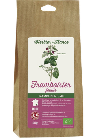 Framboise feuilles