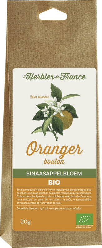 Oranger fleurs
